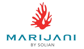 Solian Properties